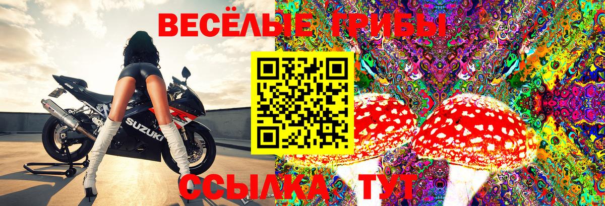 Нижневартовск  что такое   Вход с VPN  Галлюциногенные грибы Magic Shrooms  Галлюциногенные грибы ЛСД 
